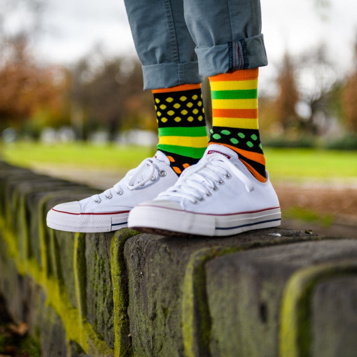 Lambchopssocks Apparel & Accessories Citrus Fruit - New!