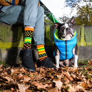 Lambchopssocks Apparel & Accessories Citrus Fruit - New!