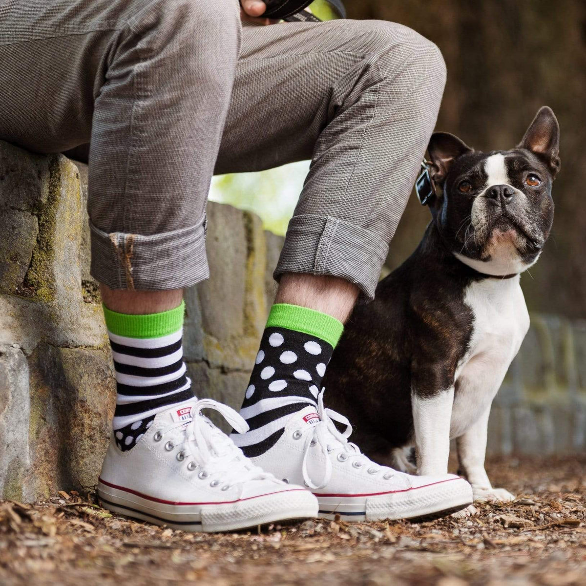 Lambchopssocks Apparel & Accessories > Clothing > Underwear & Socks > Socks Dominos