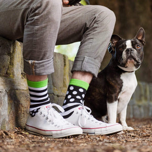 Lambchopssocks Apparel & Accessories > Clothing > Underwear & Socks > Socks Dominos