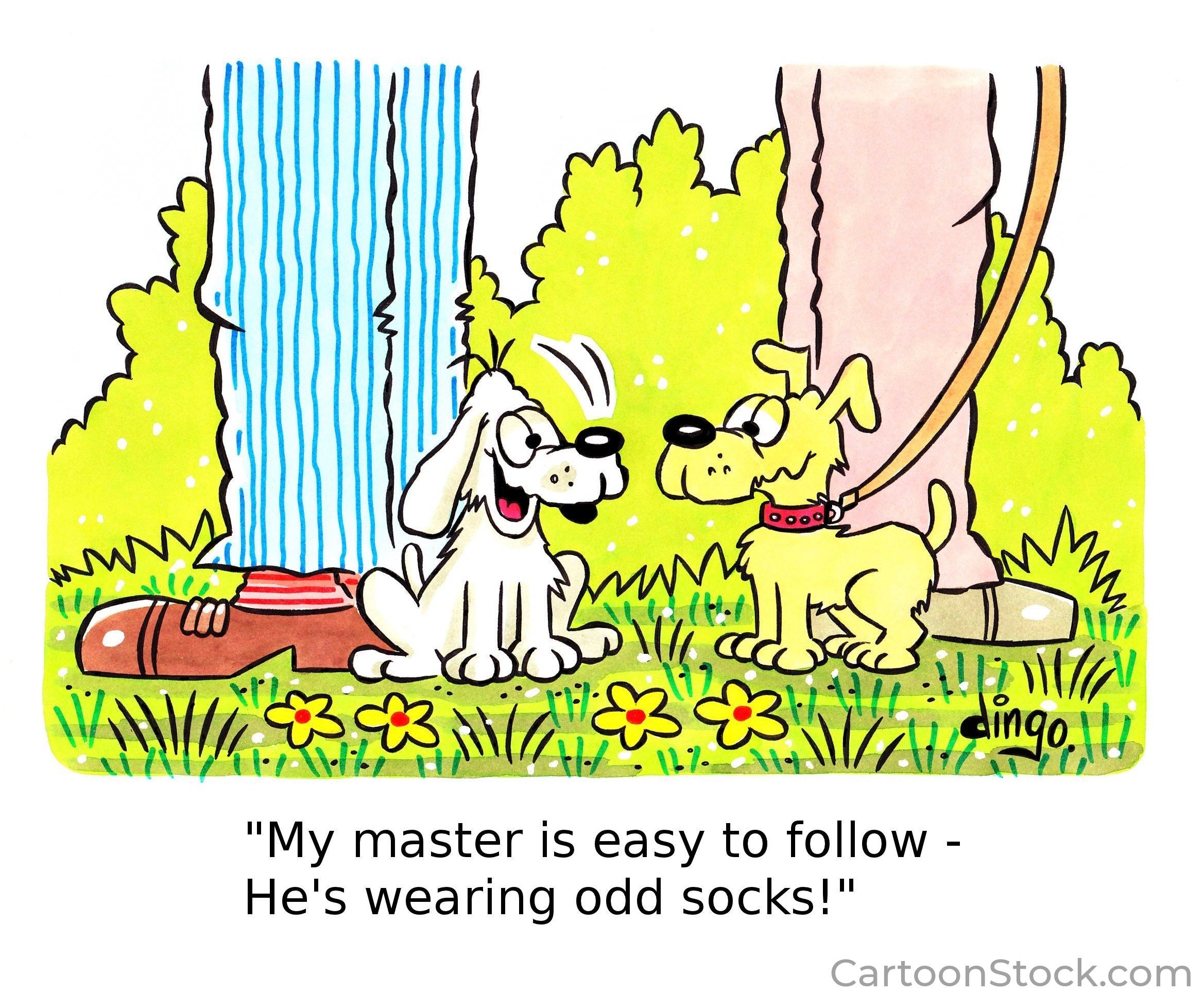 Do Washing Machines Really Eat Socks?