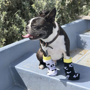 Lambchopssocks Apparel & Accessories > Clothing > Underwear & Socks > Socks Daisy Ankle Socks 🌼